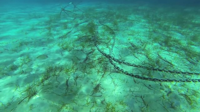 Filming the anchor while diving. Beautiful moment when I captured anchor and shoal of fishes at the same time in clear blue water. High quality image and very rear moment.