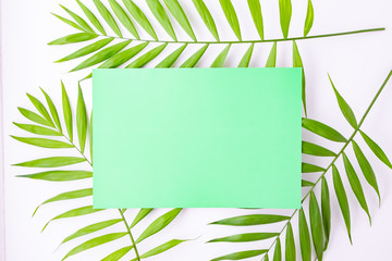 Blank blue card on tropical palm leaves, summer vacation concept, template layout for adding your design or text. Aquamarine