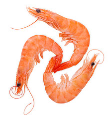 Three cooked tiger shrimps