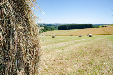 hay bale on field