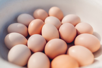 Fresh eggs collected in bowl. Organic product for healthy eating