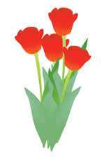 Obraz premium Tulip. vector illustration