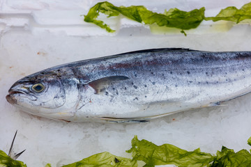 Lampuga fish at market