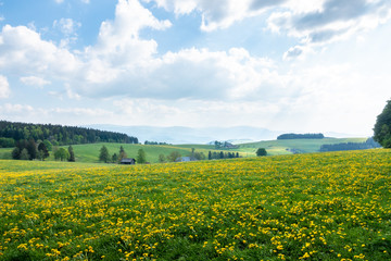 beautiful view landscape south Germany