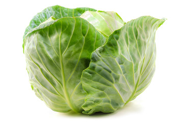 Fototapeta premium Green cabbage isolated on white background