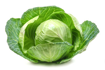 Green cabbage isolated on white background