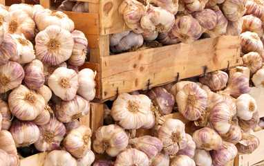 boxes full of cloves of garlic