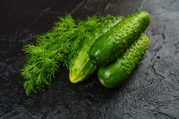 Fresh green cucumber  on black background