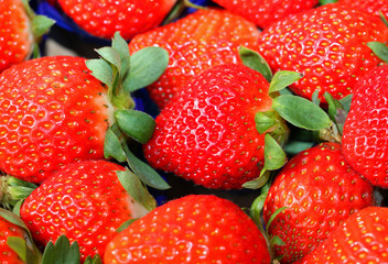 ripe strawberries for sale in the market