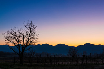 Asolani hills in Italy