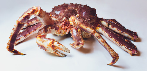 Live King Crab on white succinct background. © Евгений Вершинин