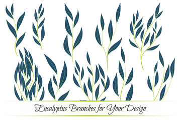 Eucalyptus Vector. Decorative Vector Leaves and Branches. Elegant Foliage. Beautiful Floral Element for Wedding Design. Tropical Plants. Eucalyptus Vector for Card, Invitation, Pattern, Print, Wreath.