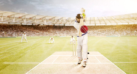 Batsman Striking the Ball