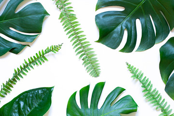 Tropical leaves summer concept pattern on the white background. Top view. 