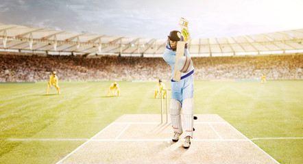 Batsman Striking the Ball