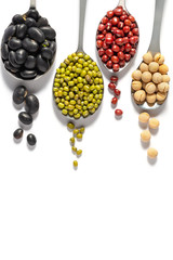 varieties of beans in iron spoons