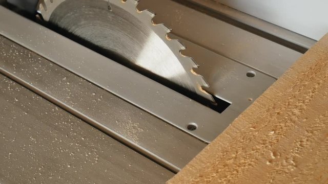 Circular in action. Woodworker rip cut saws ash plank on a table saw. Joiner at work.