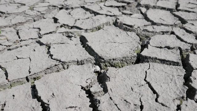 Lake bed drying up due to drought