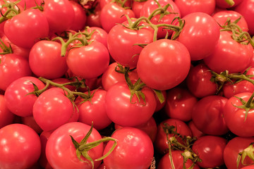 red tomatoes background. Group of tomatoes on counter at stote
