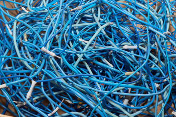 A large pile of highly entangled blue electrical wires. At the ends of the wires insulated terminals for connection. Mess, chaos, confusion. A lot of twisted and curved cables. Background, backdrop.