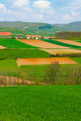 Field and green mountains view at sunny day