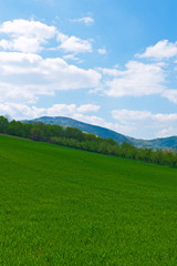 Fototapeta premium Field and green mountains view at sunny day