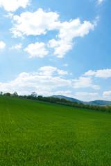 Field and green mountains view at sunny day