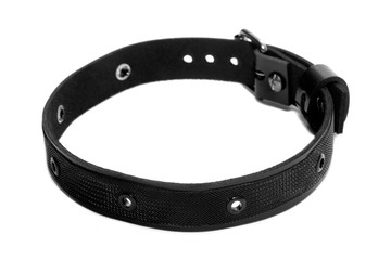 Black leather collar on a white background. Side view