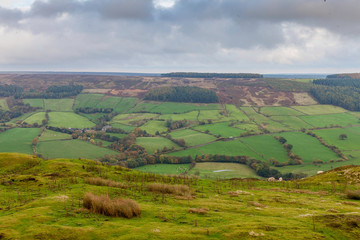 Fototapeta premium Rosedale landscape