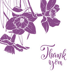Floral background. Hand drawn vector botanical illustration. Template greeting card, wedding invitation banner with spring flowers. Sketch linear narcissus blossom.Engraved style illustration.
