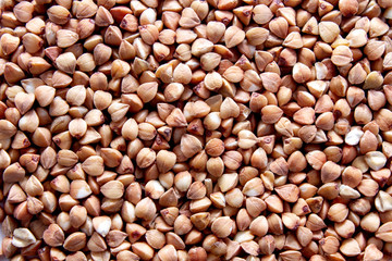 Buckwheat groats isolated on white background. Close-up