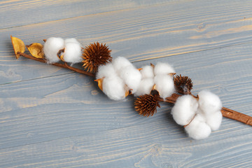 Branch with cotton flowers on wooden background