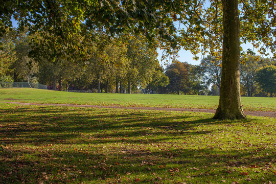 Finsbury Park Shades