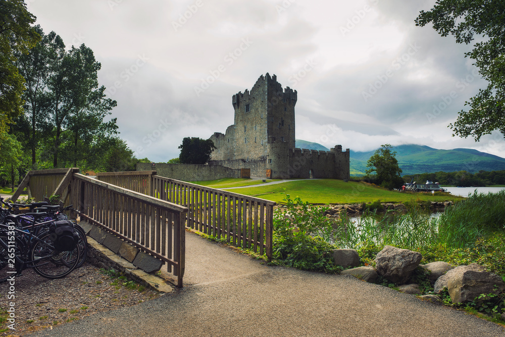 Wall mural Path and footbridge leading to Ross Castle in Ireland