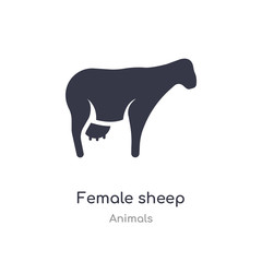 female sheep icon. isolated female sheep icon vector illustration from animals collection. editable sing symbol can be use for web site and mobile app