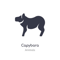 capybara icon. isolated capybara icon vector illustration from animals collection. editable sing symbol can be use for web site and mobile app