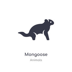 mongoose icon. isolated mongoose icon vector illustration from animals collection. editable sing symbol can be use for web site and mobile app
