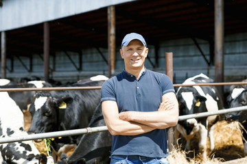 Farmer working on farm with dairy cows