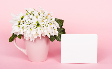 Delicate pink background and white flowers. blank template card.