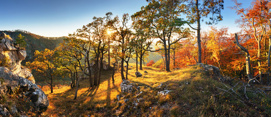 Autumn forest in mountain at sunset with sun
