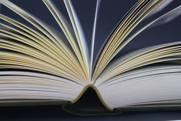 altes buch aufgeschlagen