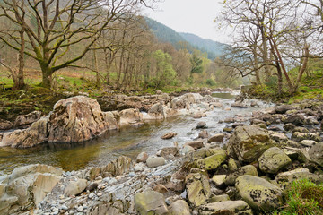 A misty April day by the clear waters of the River Mawddach in Cymru.