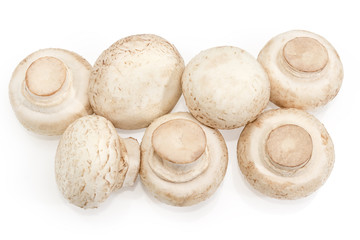 Fototapeta na wymiar Fresh cultivated button mushrooms on a white background