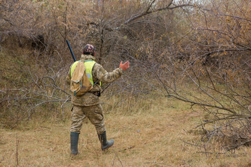 Hunter with a german drathaar and spaniel, pigeon hunting with dogs in reflective vests	