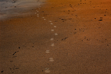 footprints in sand
