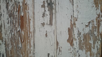 old painted wood board with cracked white paint