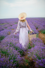 A girl in a hat with a basket is walking in a lavender field. General view.