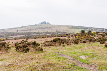 Dartmoor, Devon, Heidelandschaft, Moor, Hound Tor, Felsen, Wanderweg, Frühling, Südengland
