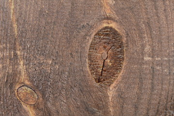 Fototapeta na wymiar texture of wood