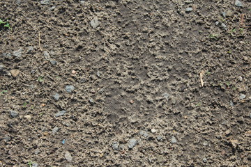 background of soil